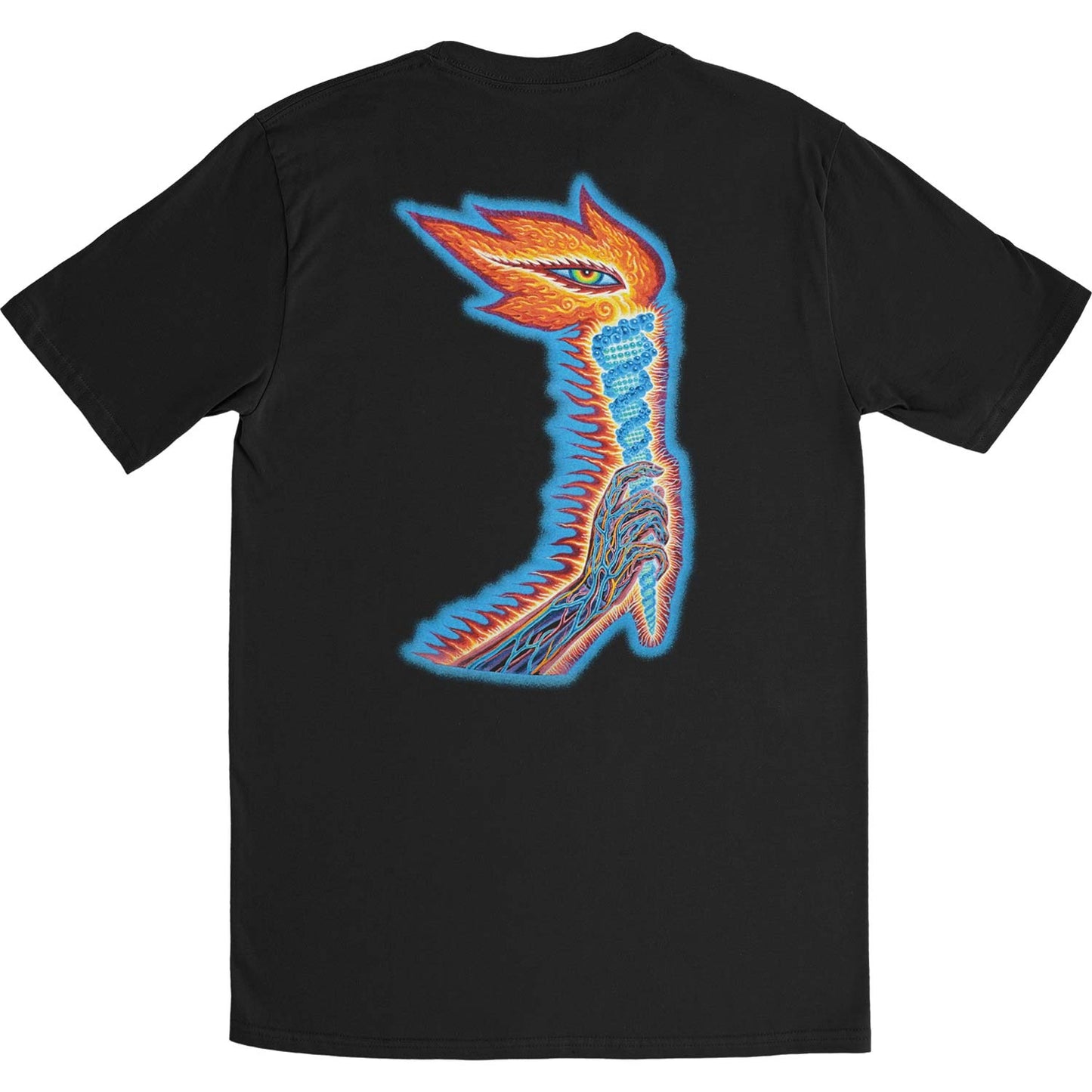 Tool The Torch (Back & Sleeve Print) Slim Fit T-shirt