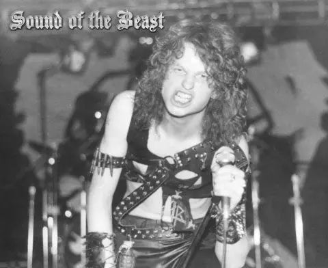 SOUND OF THE BEAST: The Complete Headbanging History of Heavy Metal, by Ian Christe